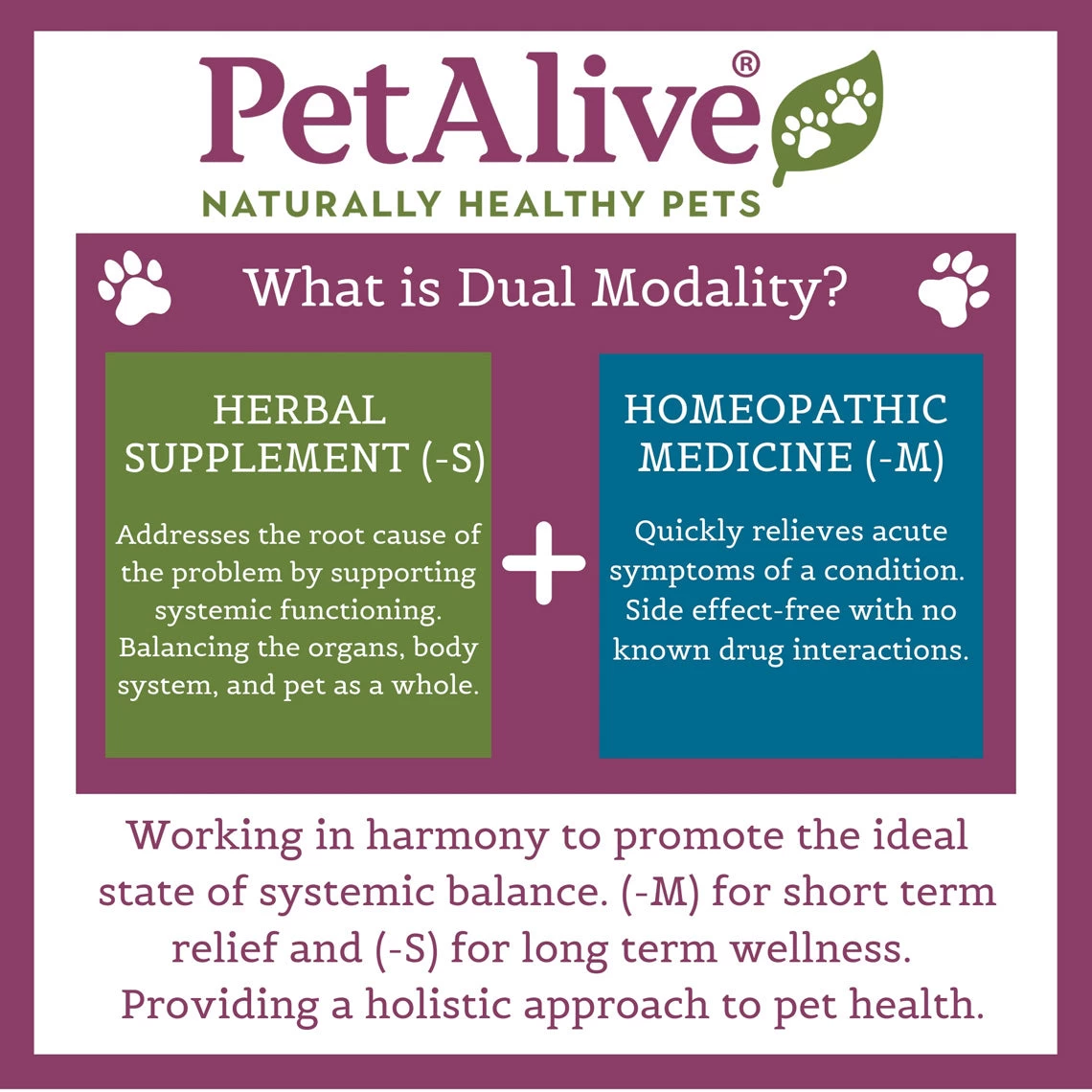 PetAlive Cushex Drops M Homeopathic Remedy For Cushing's - Image 5