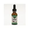 Animal Essentials Ginkgo Liquid Herbal Extract For Dogs & Cats