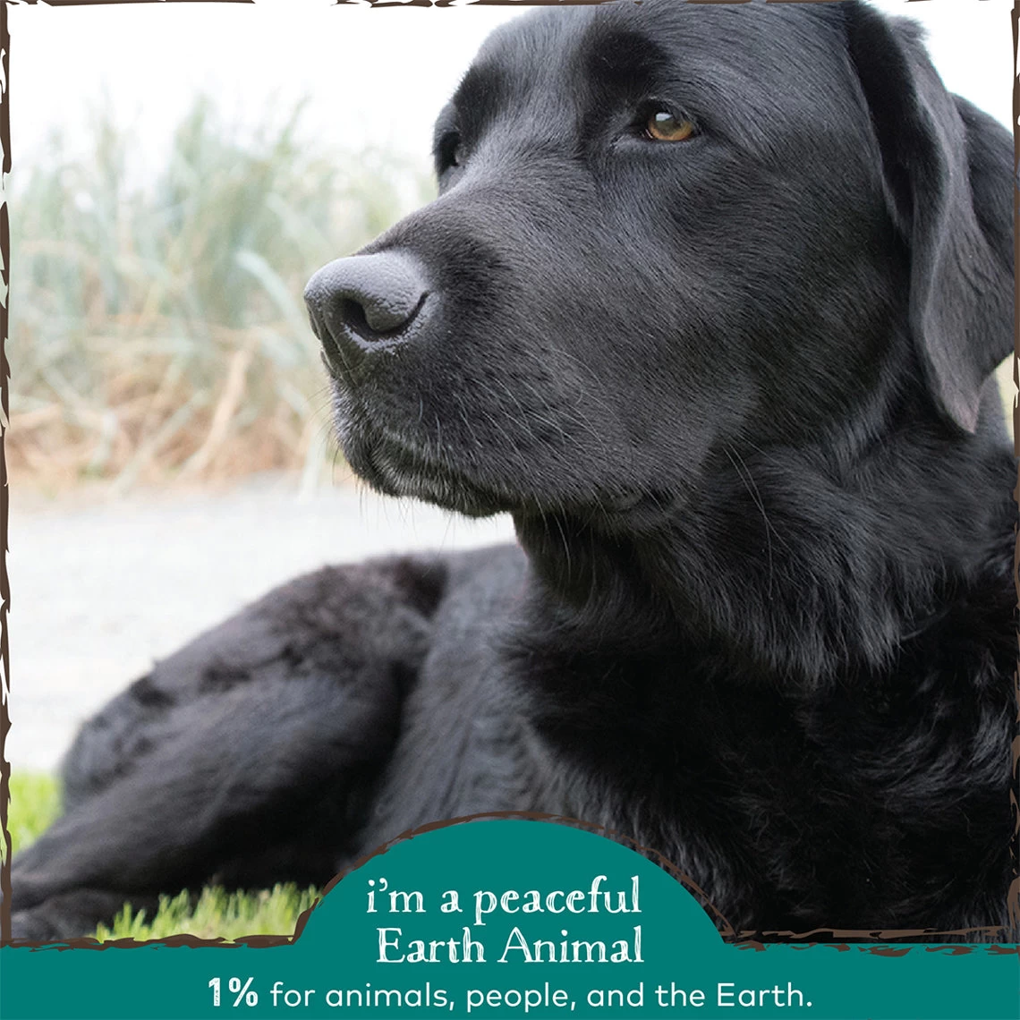 Earth Animal Herbal Topical Remedies Clean Ears Wash For Dogs - Image 5