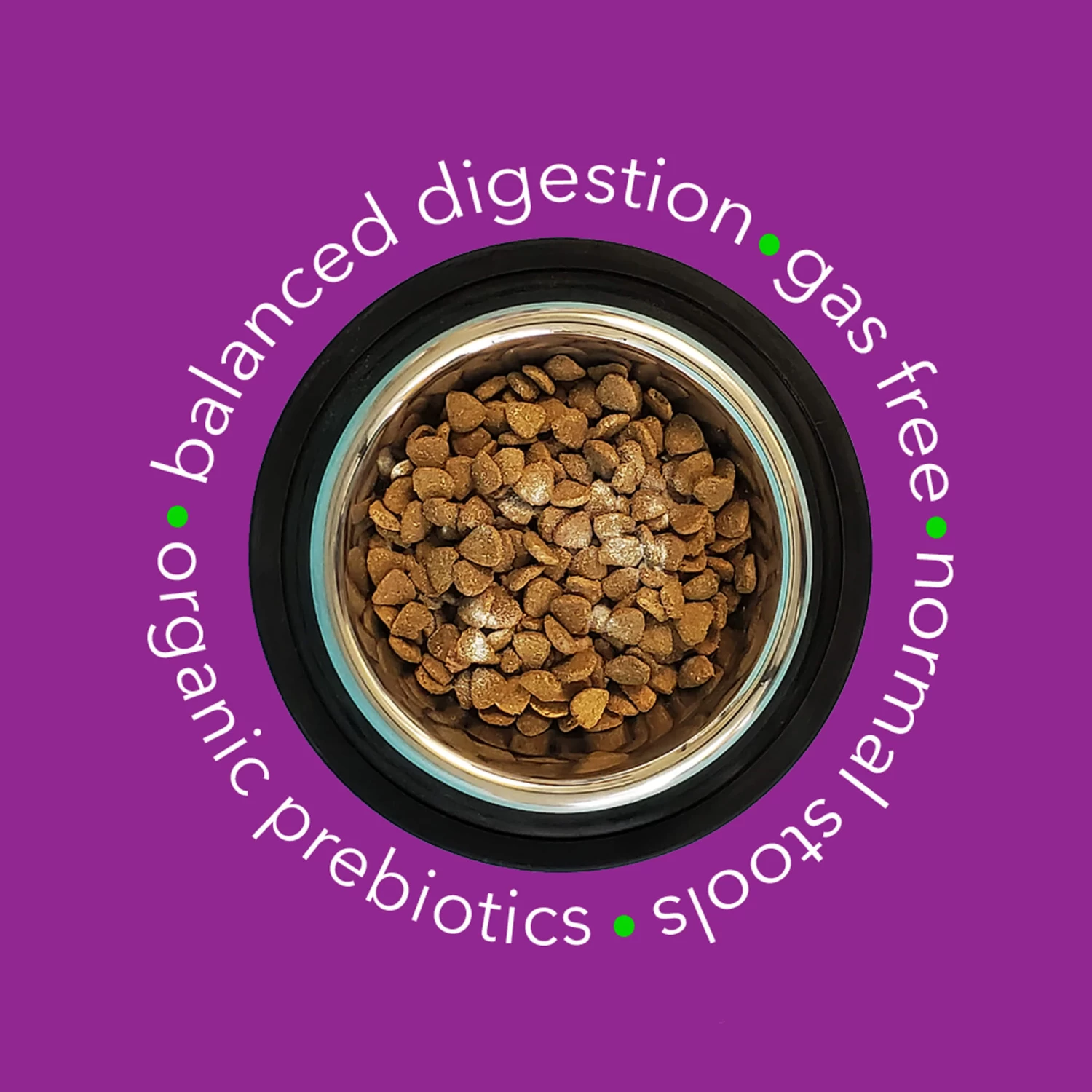 In Clover OptaGest Digestive Aid Dog & Cat Supplement - Image 4