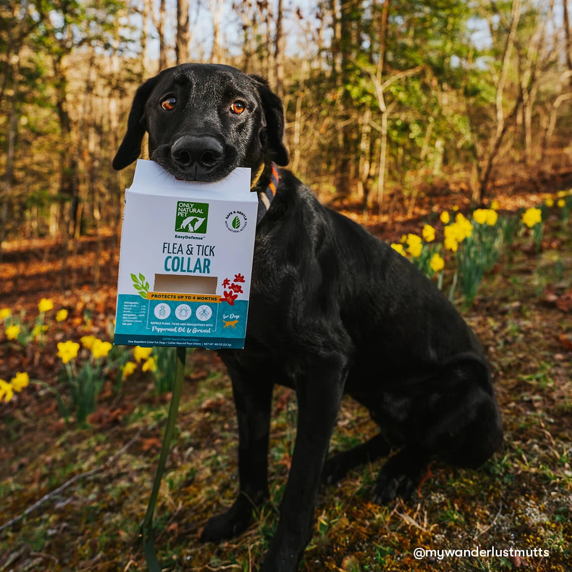 Only Natural Pet EasyDefense Flea & Tick Dog Collar Multi Pack - Image 3