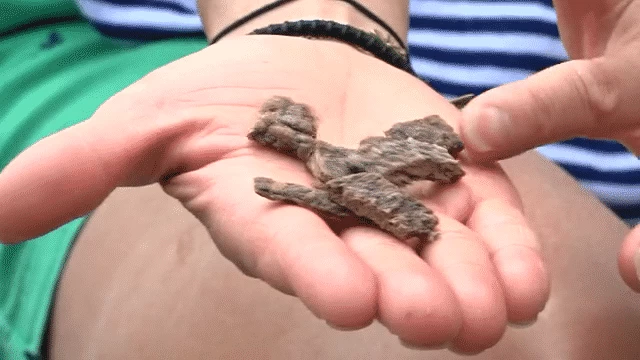 Only Natural Pet MaxMeat Lamb & Whitefish With Pumpkin Recipe Air-Dried Dog Food Topper - Image 4