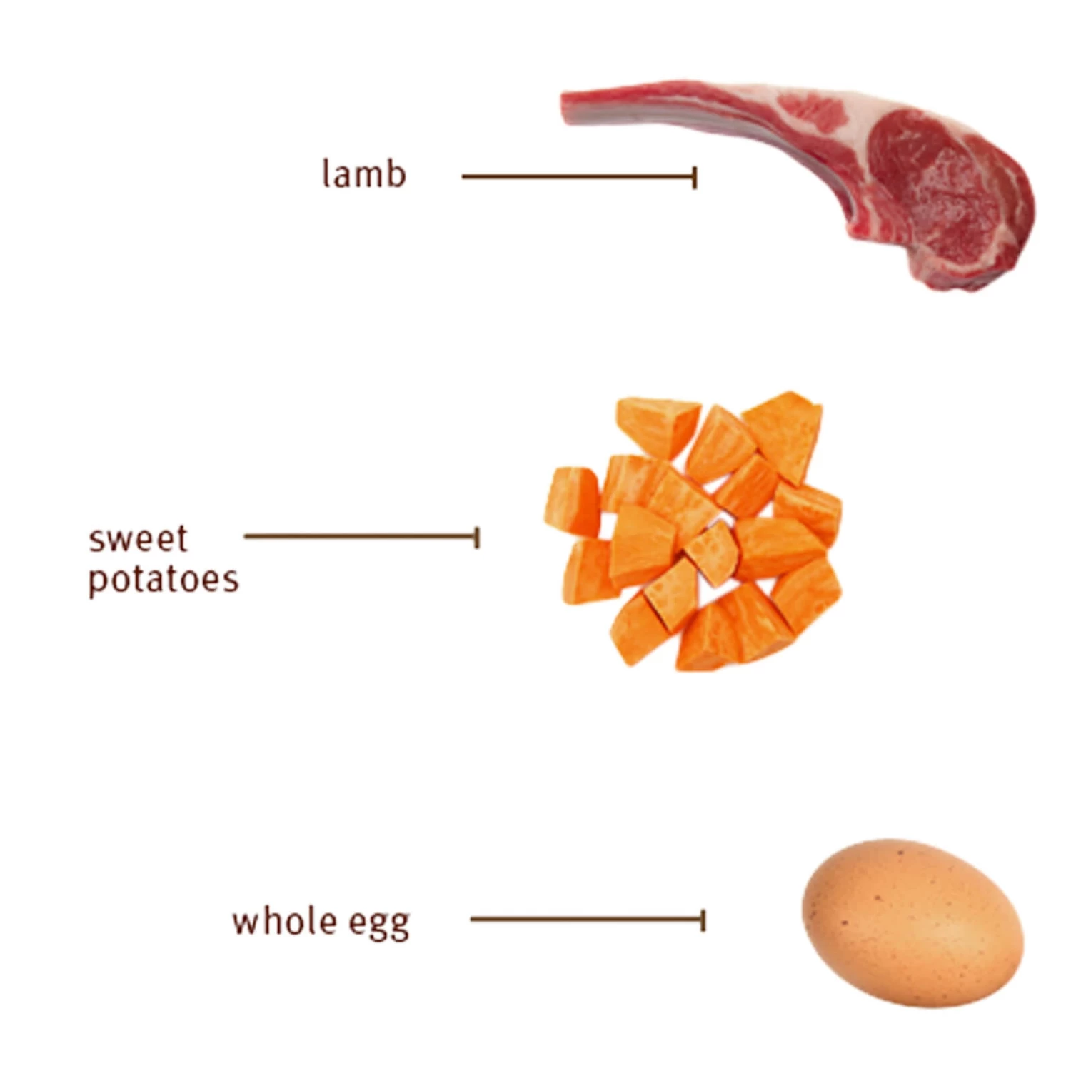 Sojos Complete Grain-Free Dog Food Mix - Image 10