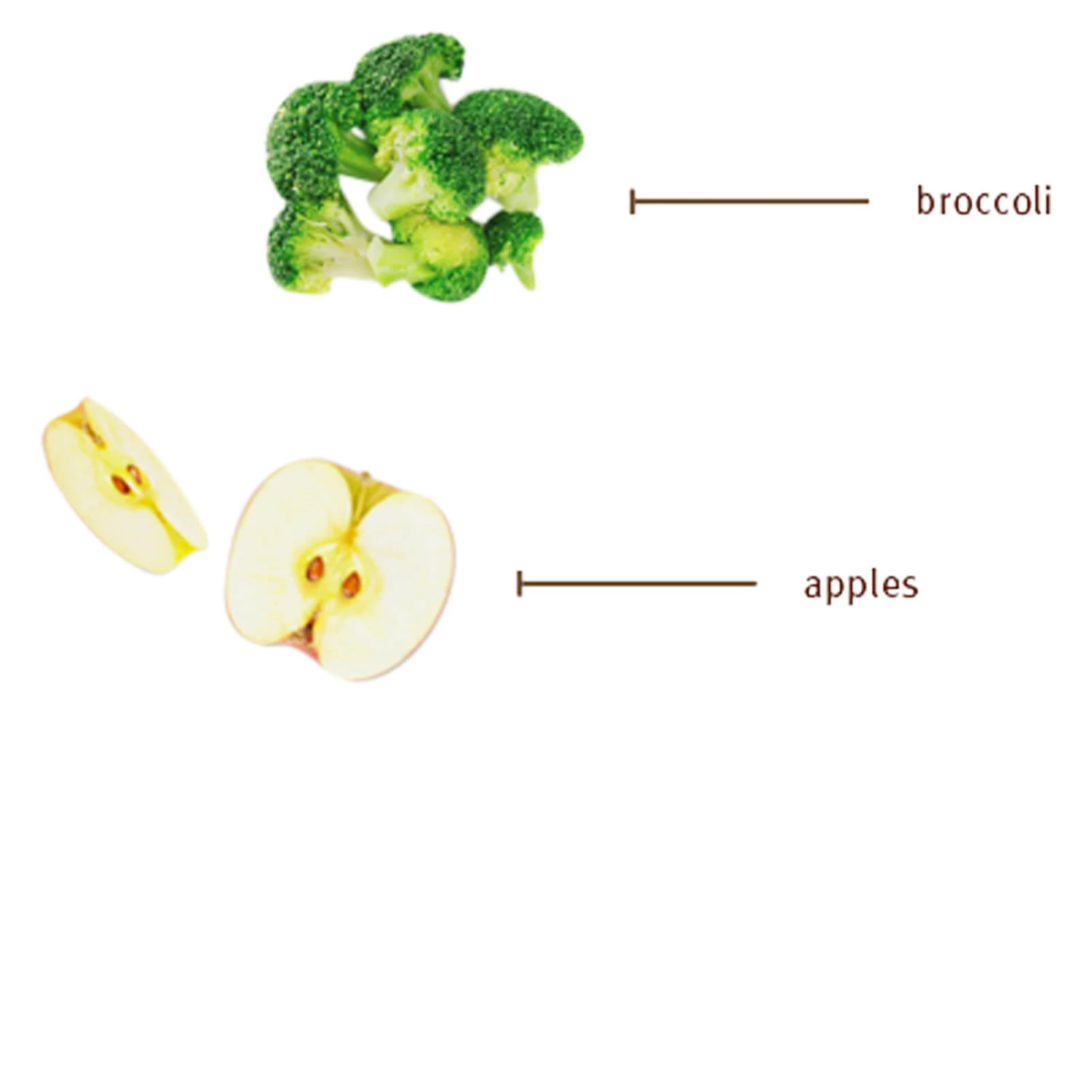 Sojos Complete Grain-Free Dog Food Mix - Image 17