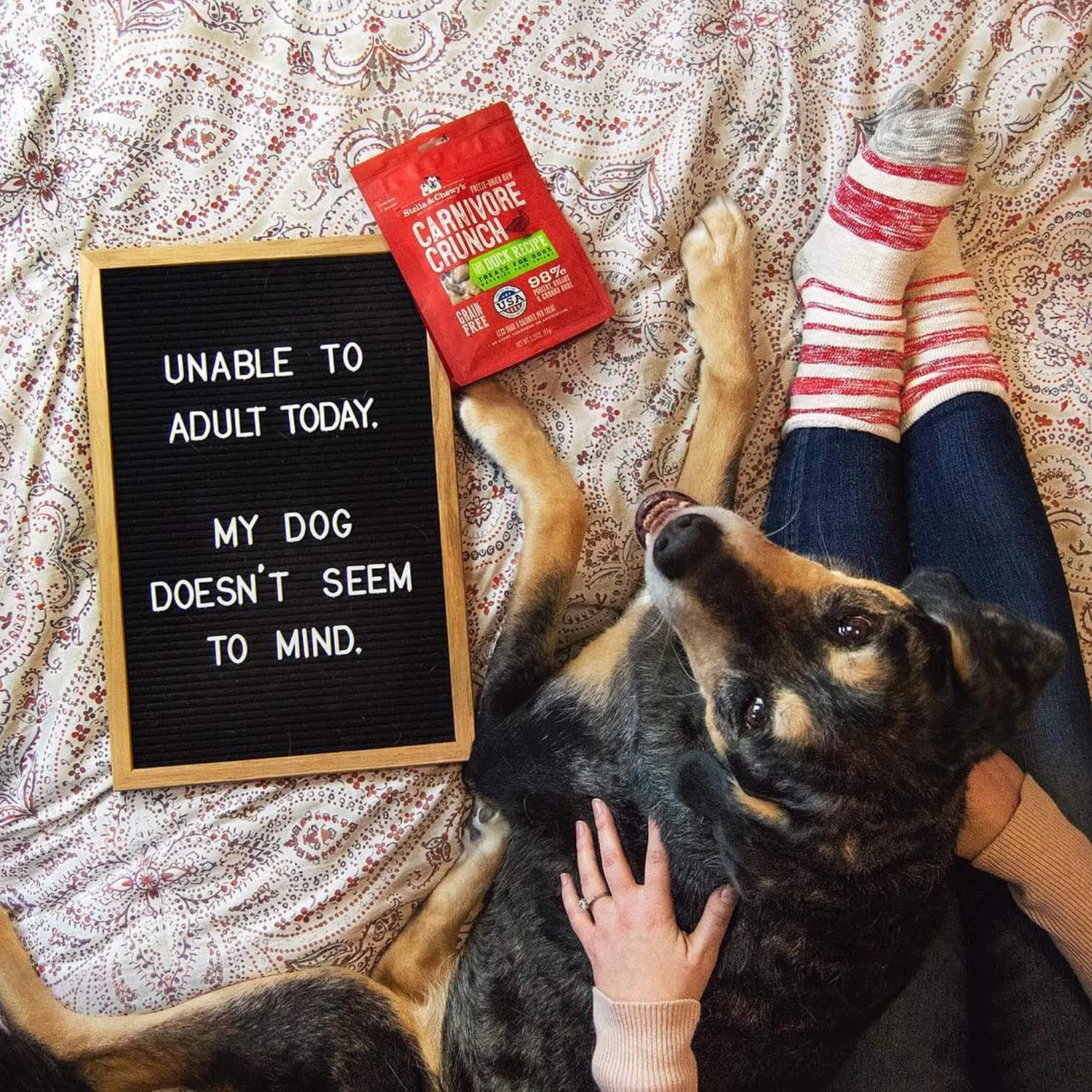 Stella & Chewy's Carnivore Crunch Training Treats - Image 12