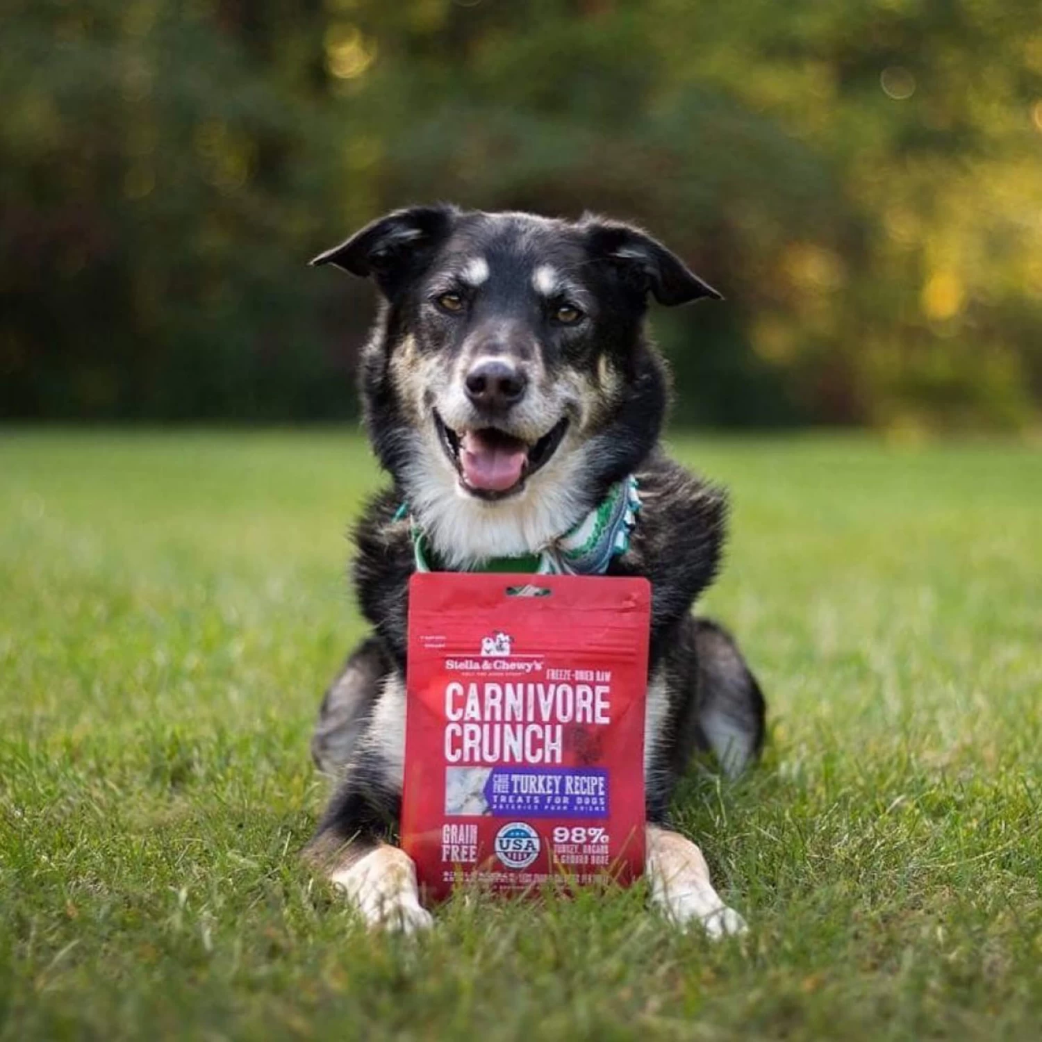 Stella & Chewy's Carnivore Crunch Training Treats - Image 3