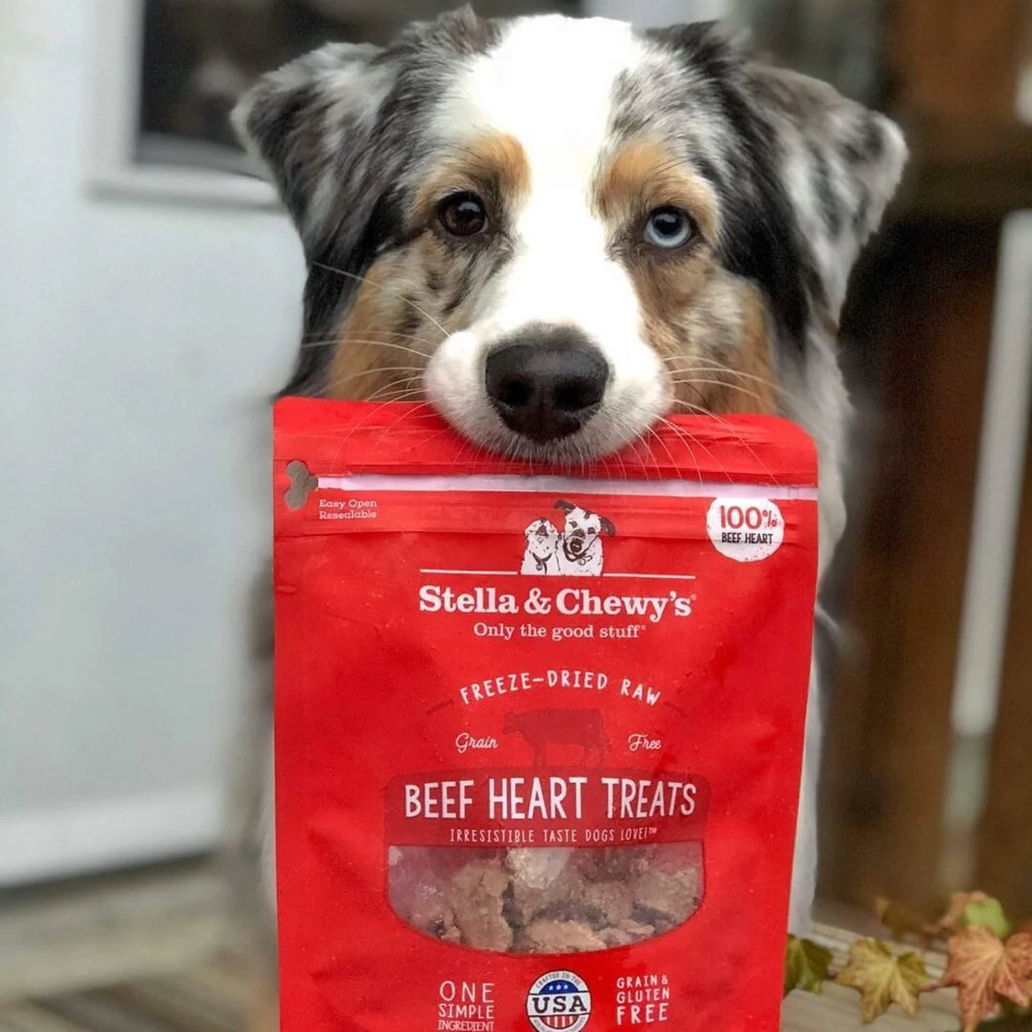 Stella & Chewy's Freeze-Dried Raw Single Ingredient Treats - Image 17