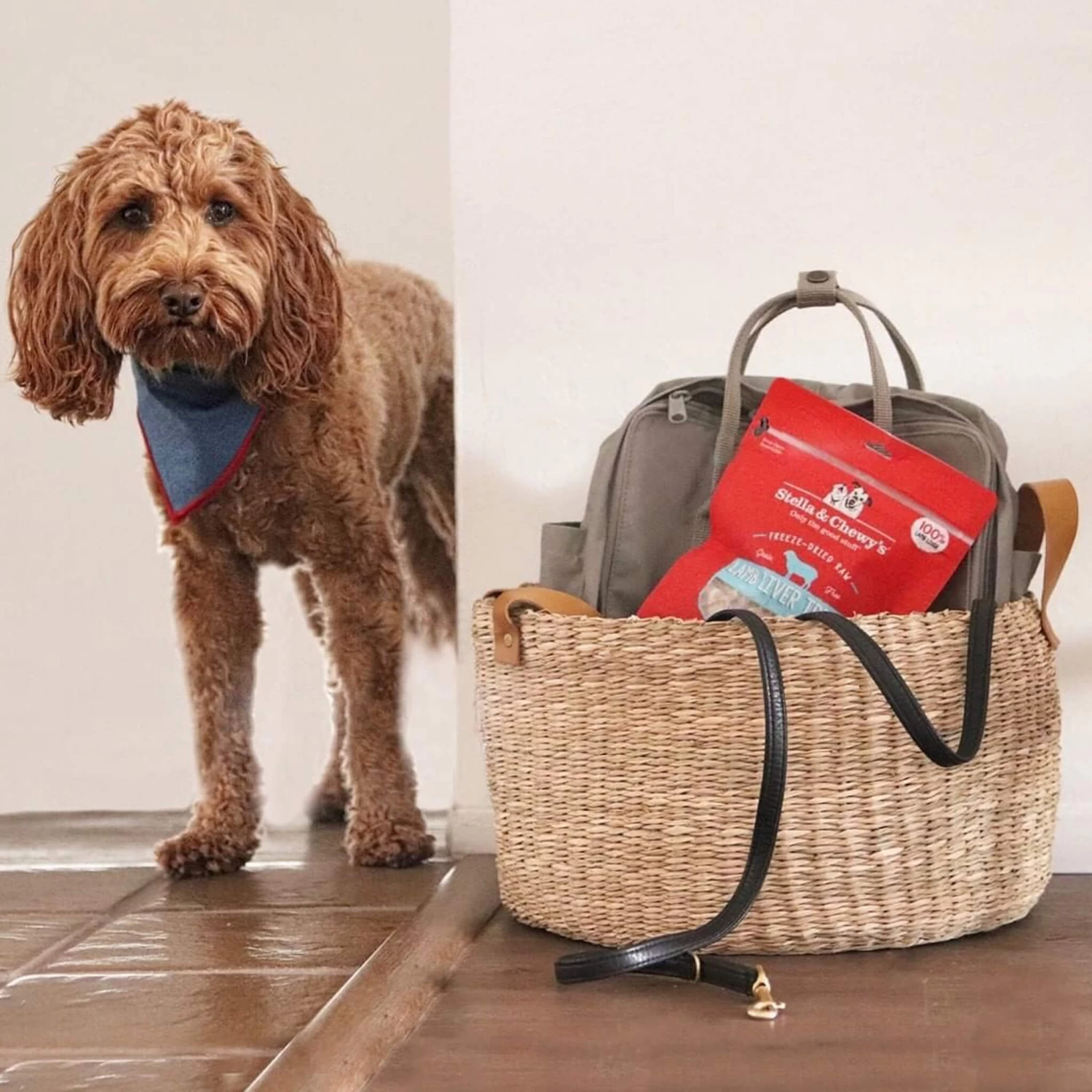 Stella & Chewy's Freeze-Dried Raw Single Ingredient Treats - Image 13