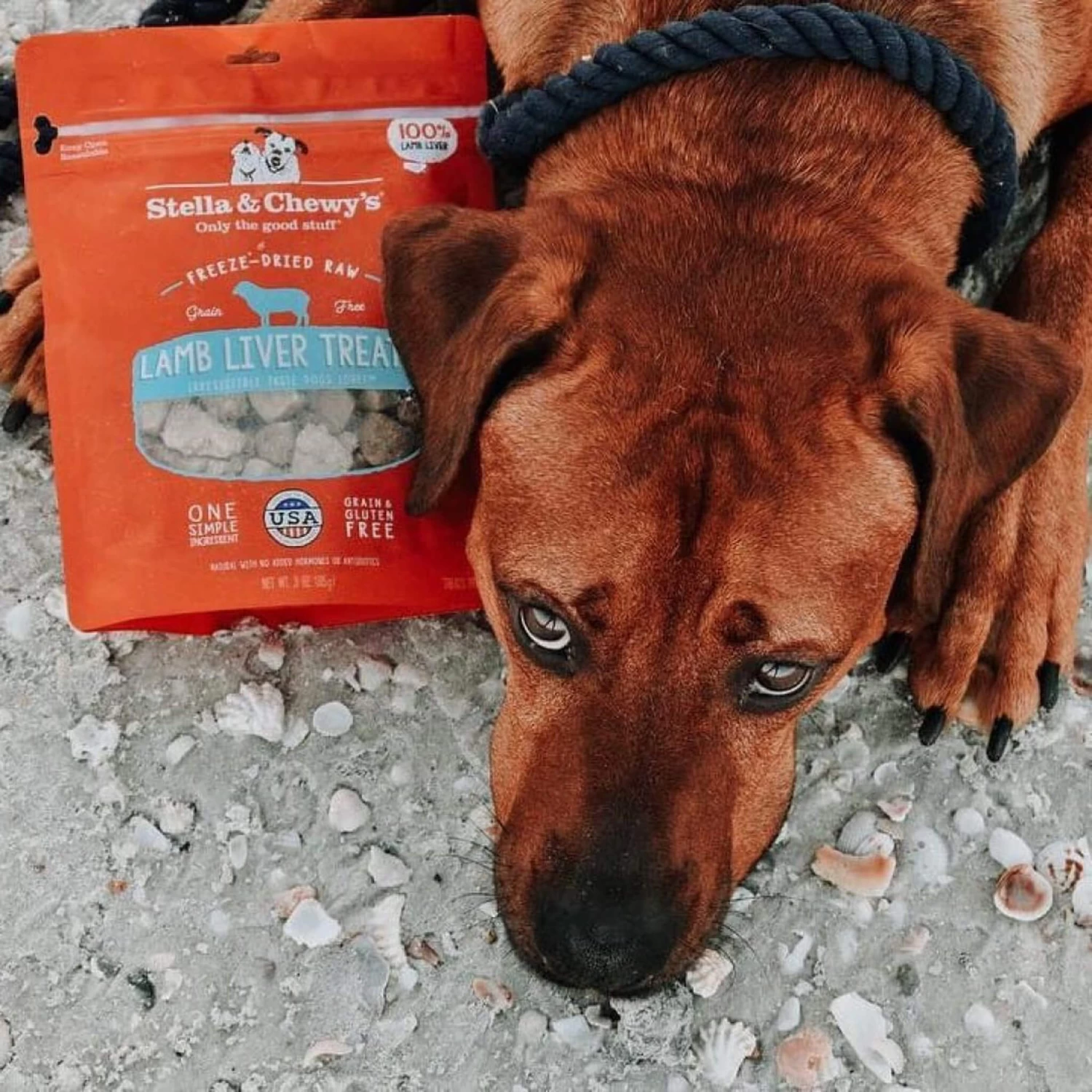 Stella & Chewy's Freeze-Dried Raw Single Ingredient Treats - Image 12
