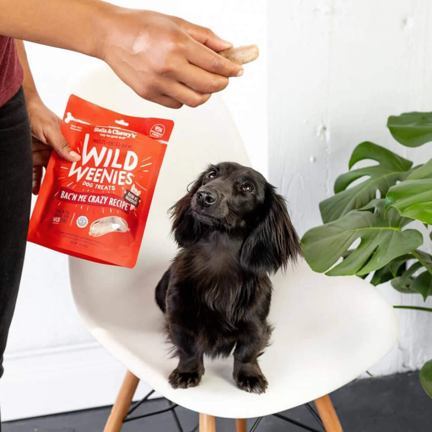 Stella & Chewy's Wild Weenies Raw Freeze-Dried Dog Treats - Image 7