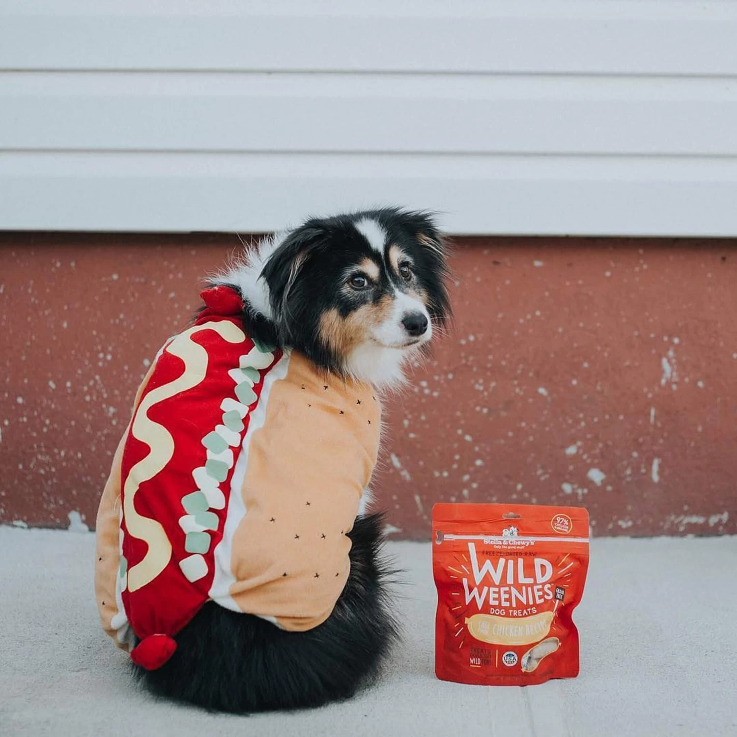 Stella & Chewy's Wild Weenies Raw Freeze-Dried Dog Treats - Image 11