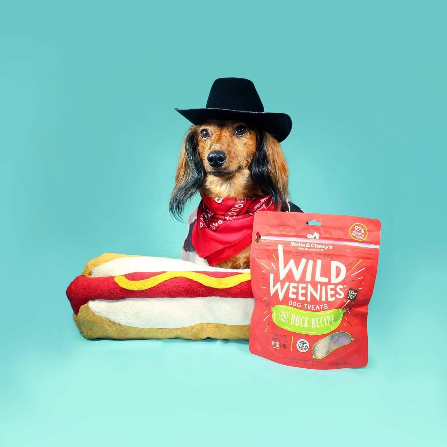 Stella & Chewy's Wild Weenies Raw Freeze-Dried Dog Treats - Image 15