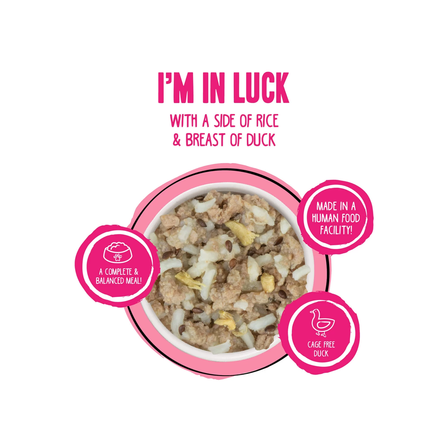 Weruva BFF Best Fido Friend Wet Dog Food - Image 10