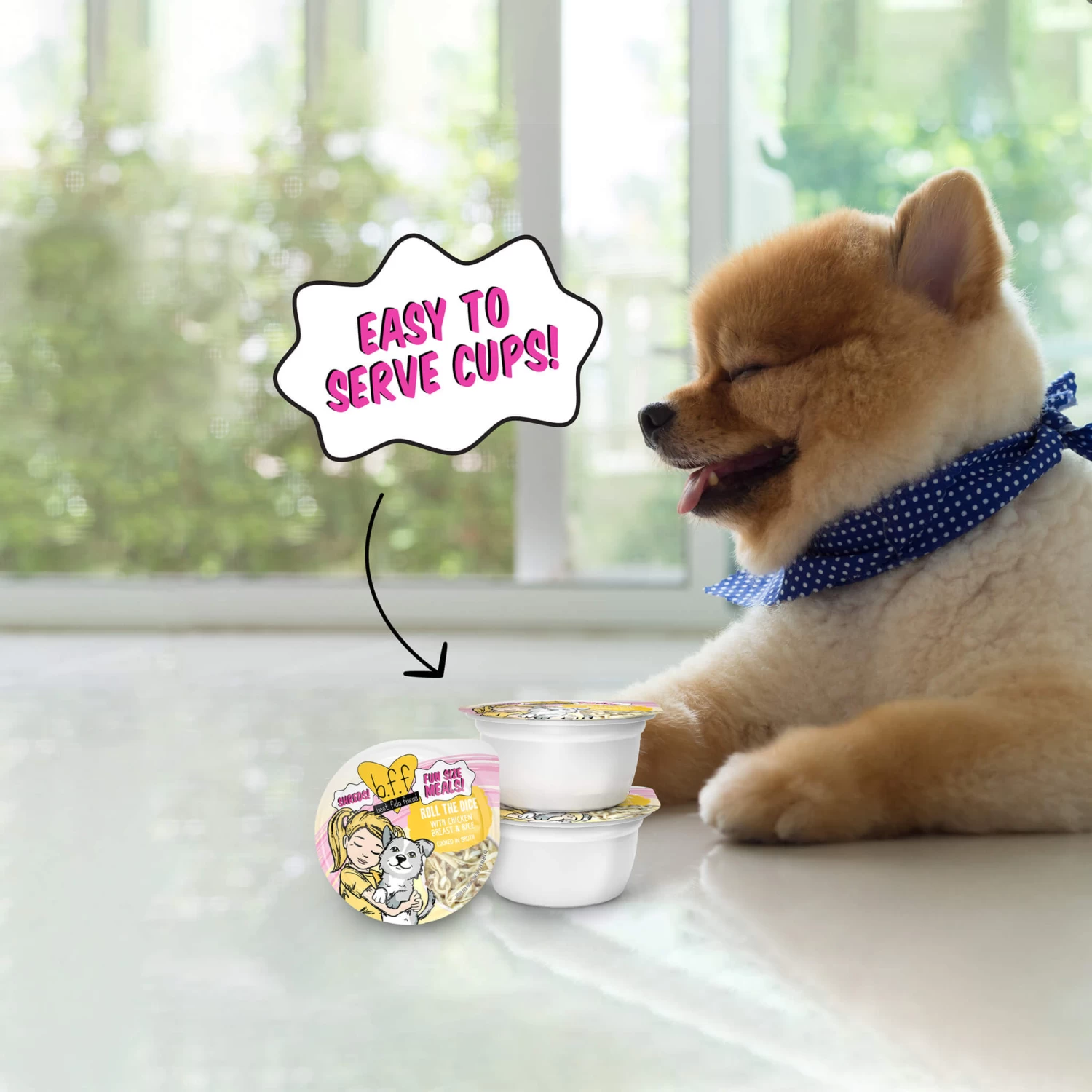 Weruva BFF Best Fido Friend Wet Dog Food - Image 17