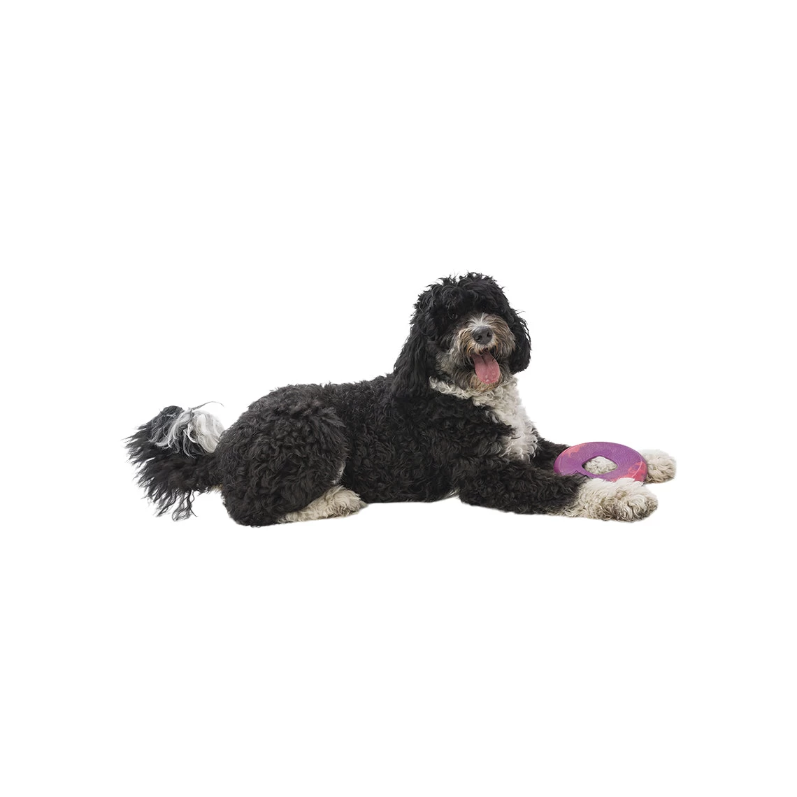 West Paw BPA-Free Sailz Float Toy For Dogs - Image 4