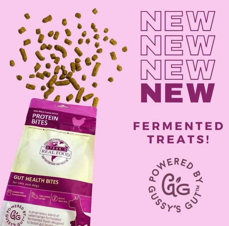 Steve's Real Food Probiotic Protein Bites - Image 7